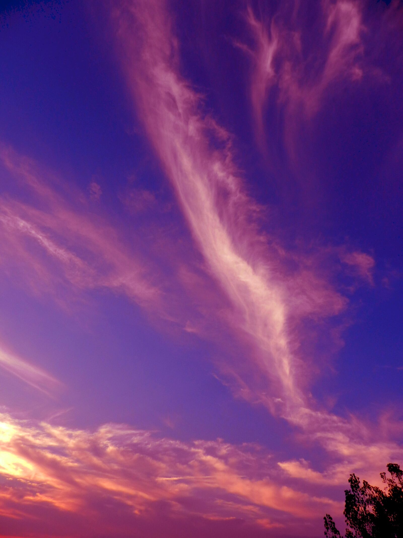 Nikon Coolpix P500 sample photo. Colors, purple, clouds photography