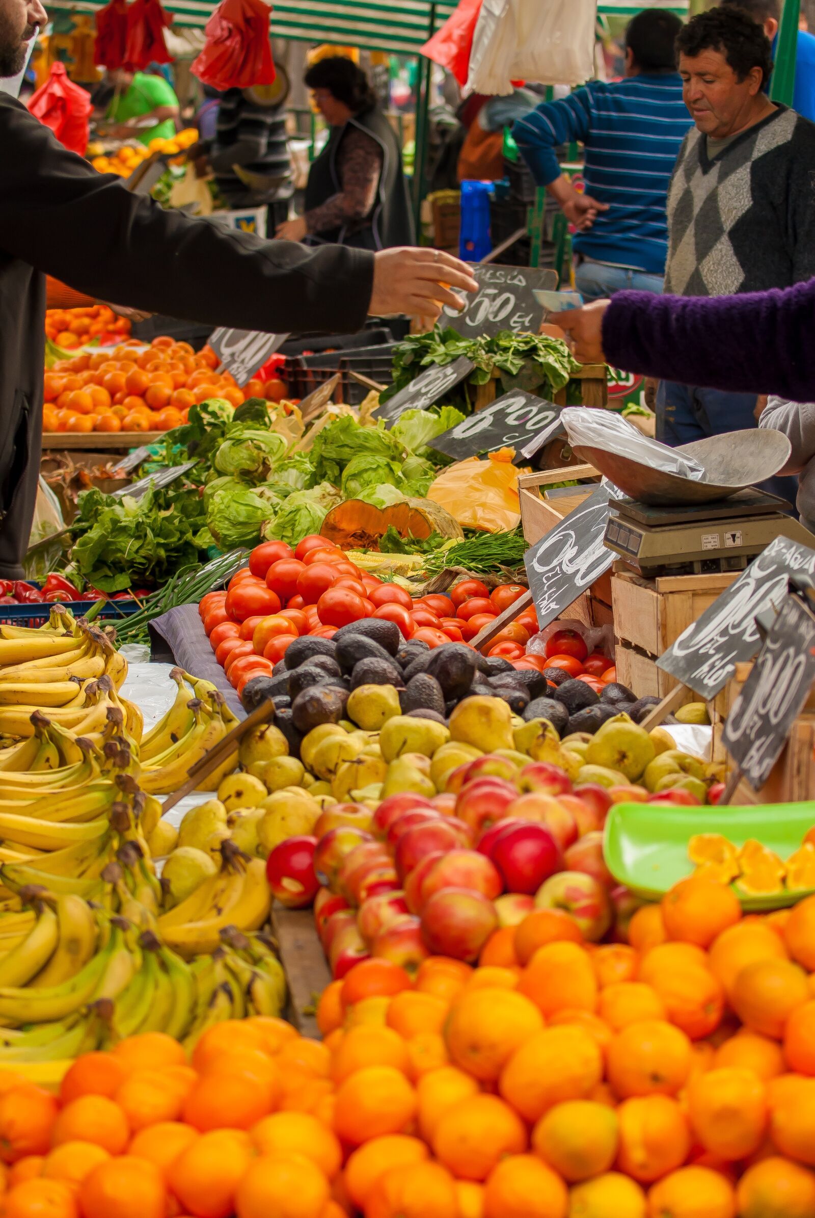 Nikon D200 sample photo. Tomatoes, vegetables, fruit photography