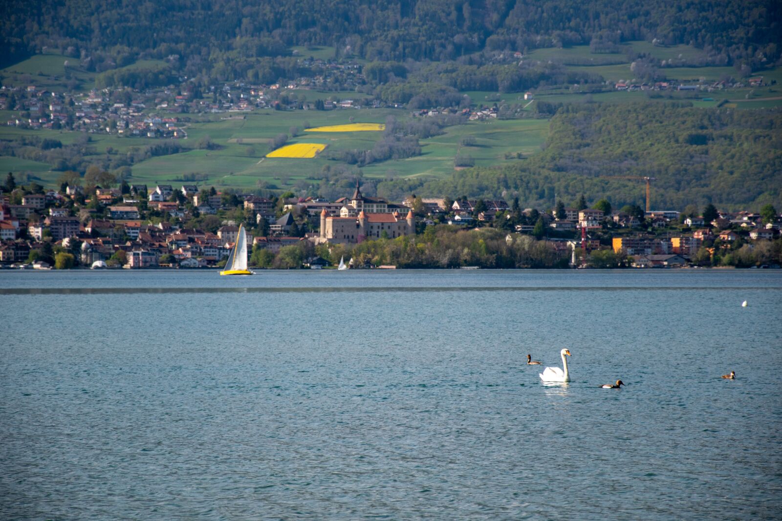 Nikon D5500 sample photo. Lake, landscape, swan photography