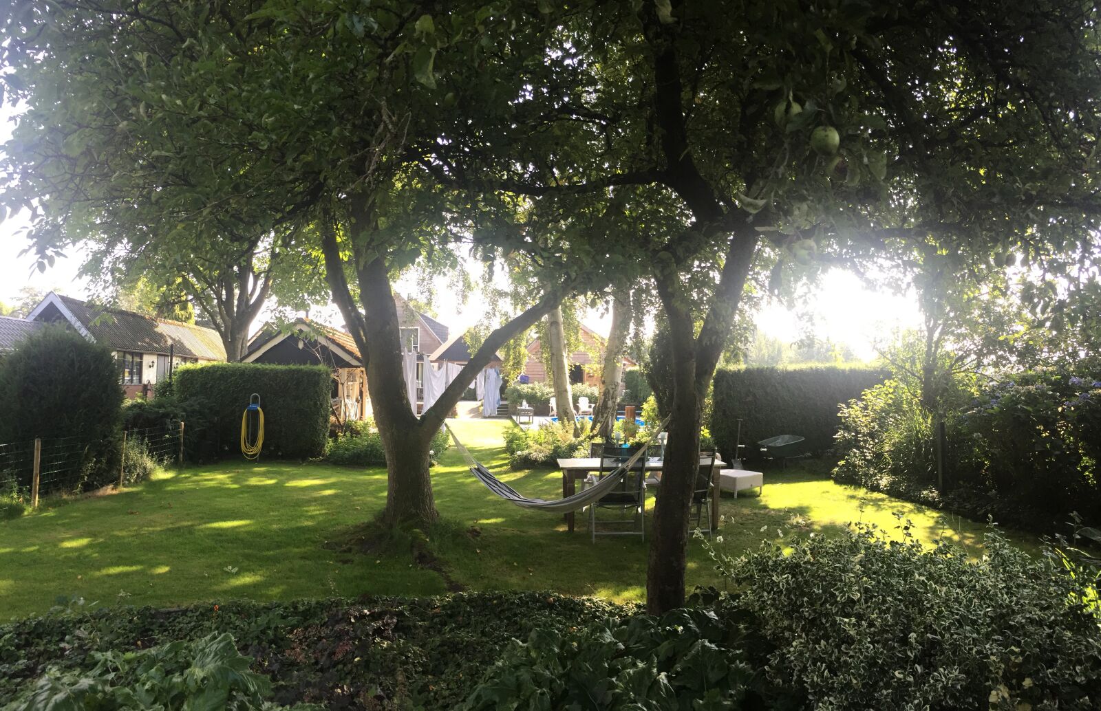 Apple iPhone 6 sample photo. Garden, grass, spring photography