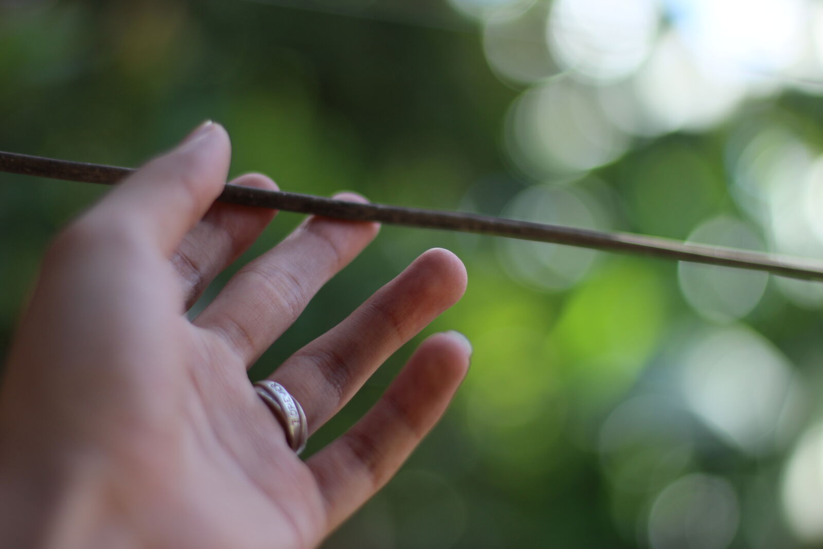 Canon EOS 700D (EOS Rebel T5i / EOS Kiss X7i) + Canon EF 50mm F1.8 STM sample photo. Bokeh, green, hand photography