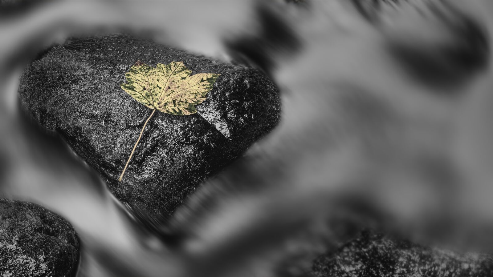 Sony a6300 + Sigma 30mm F2.8 EX DN sample photo. Black and white, river photography