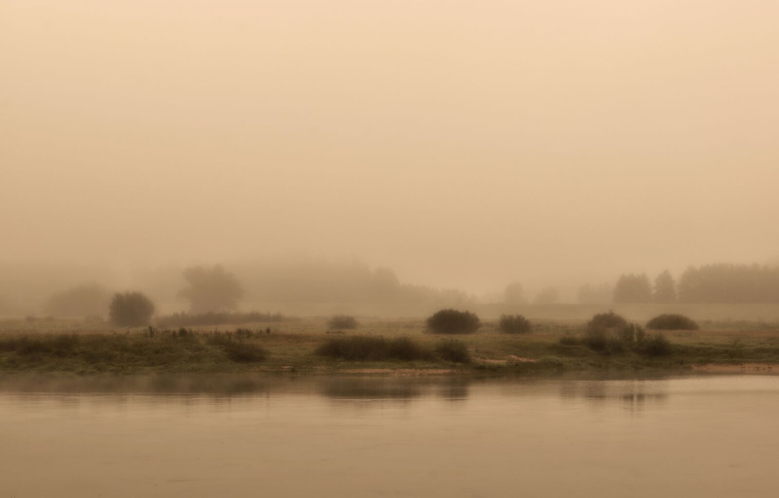 Nikon D5600 sample photo. River, fog, nature photography