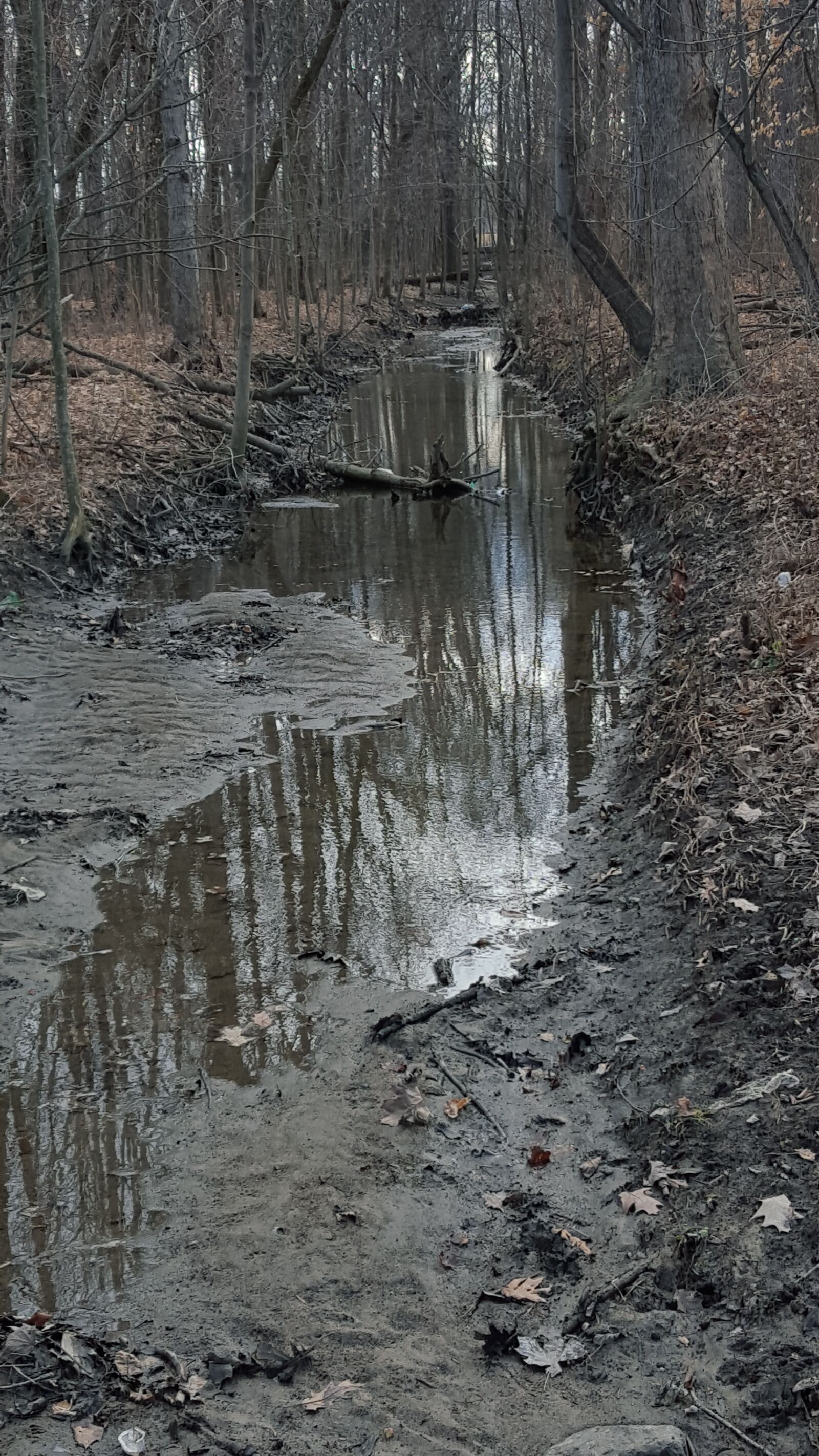 Samsung Galaxy S6 sample photo. Creek, woods, outside photography