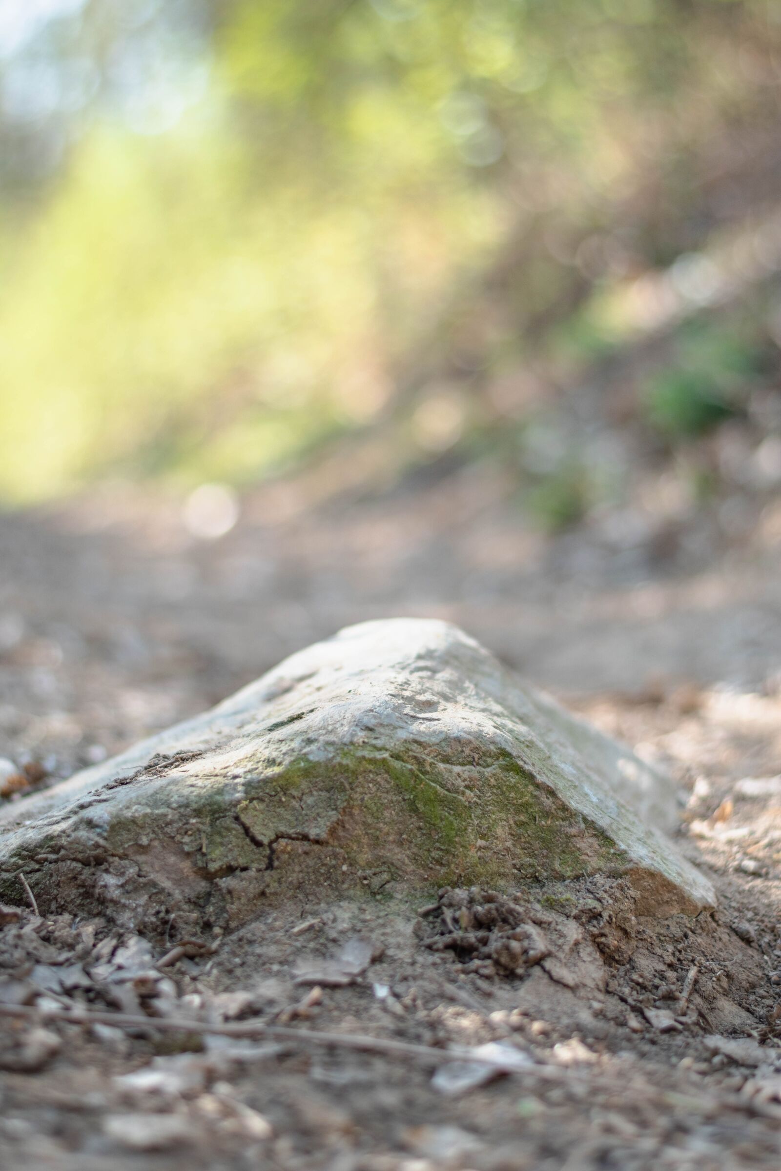 Nikon D5600 sample photo. Stone, nature, forest photography