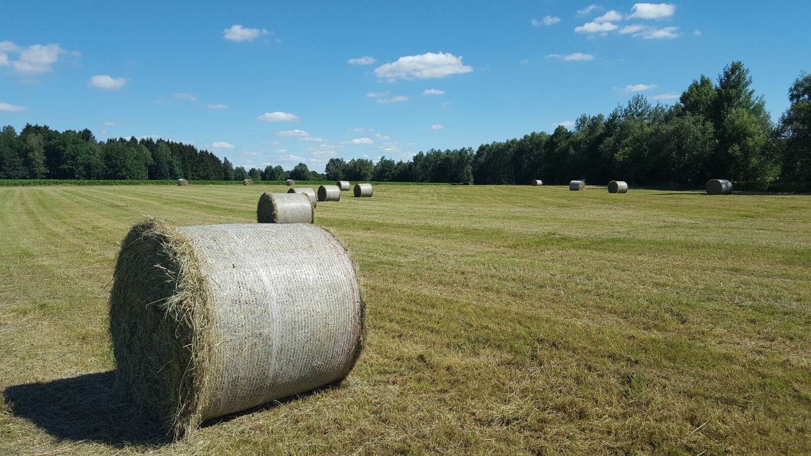 Samsung Galaxy S6 sample photo. Agriculture, landscape, hay photography