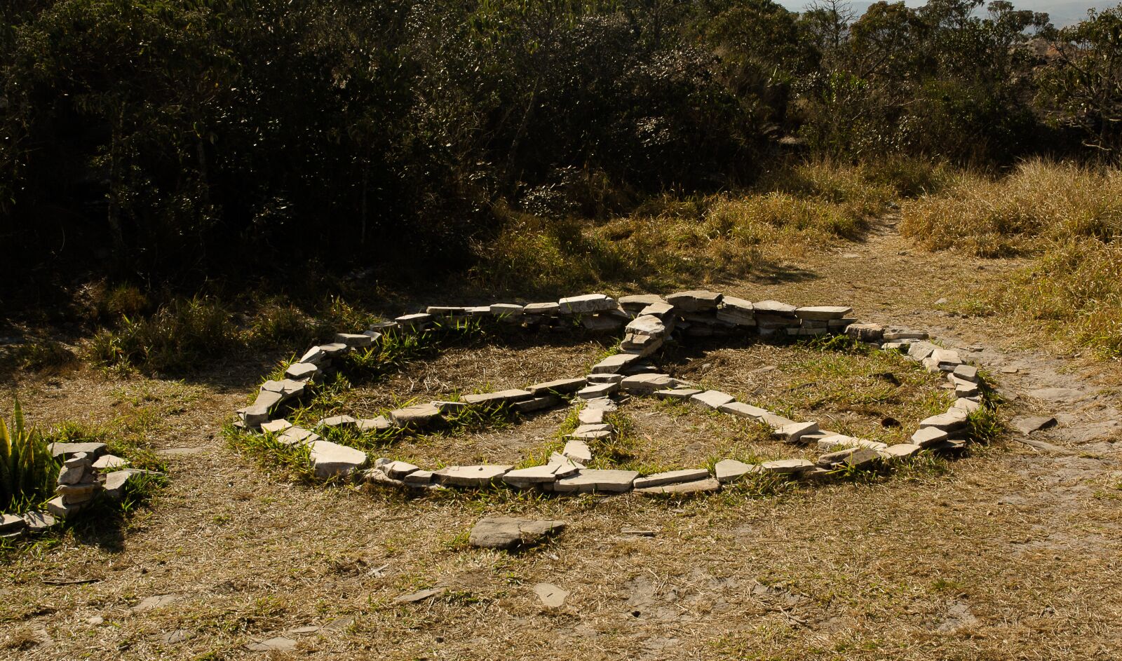Nikon D3100 sample photo. Peace, hippie, tranquility photography