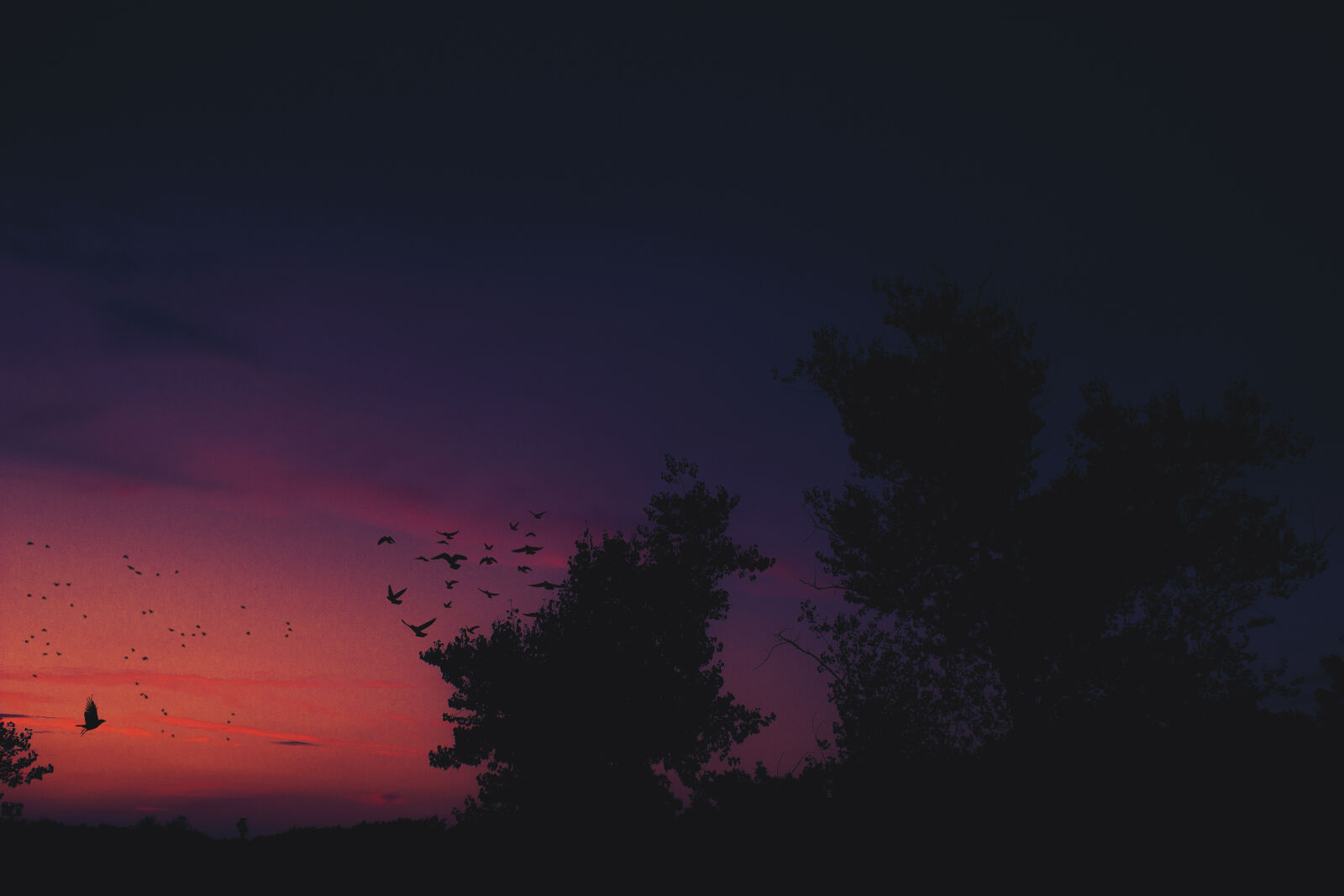 Canon EOS 600D (Rebel EOS T3i / EOS Kiss X5) sample photo. Bird, blue, dark, landscape photography
