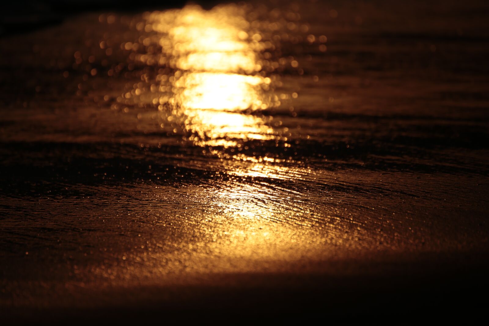 Canon EOS 6D sample photo. Sunrise, golden glow, texture photography