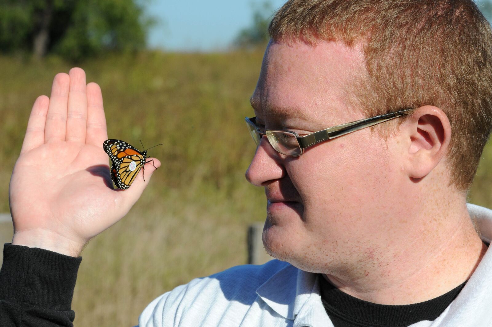 Nikon D300S sample photo. Biologist, tags, monarch, butterfly photography