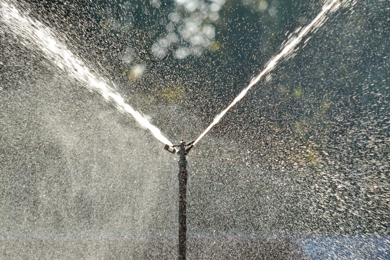 Nikon D5500 sample photo. Equipment, irrigation, moisture, splash photography