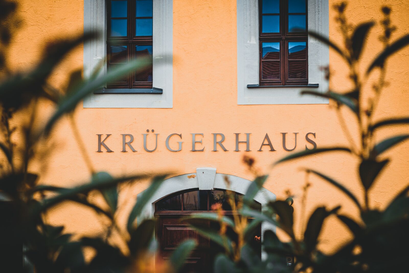 Canon EF 50mm F1.8 STM sample photo. Kruger house, terra mineralia photography