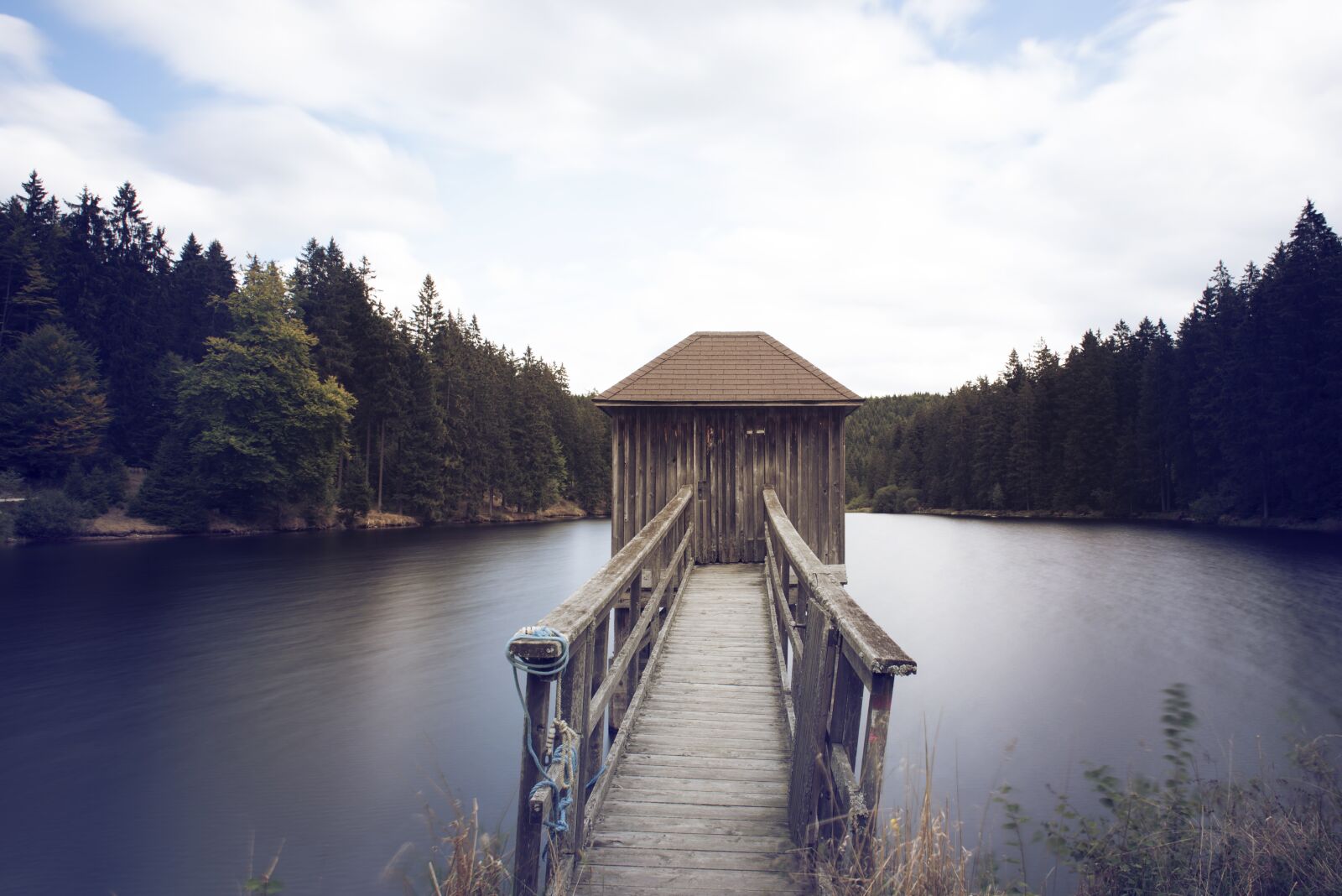 Nikon D750 sample photo. Hiking, forest, nature photography
