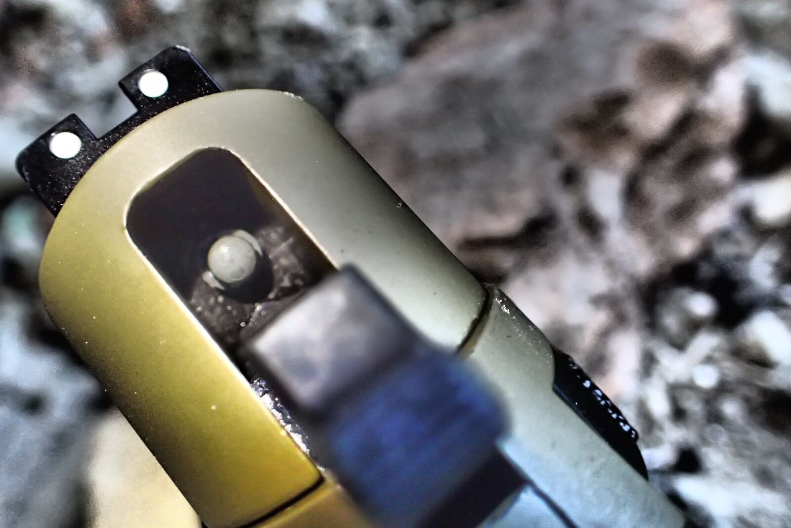 Olympus TG-4 sample photo. A pistol shaped gland photography