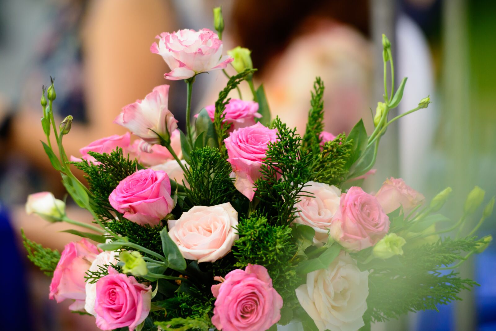 Nikon D7100 sample photo. Flowers, rose, pink photography