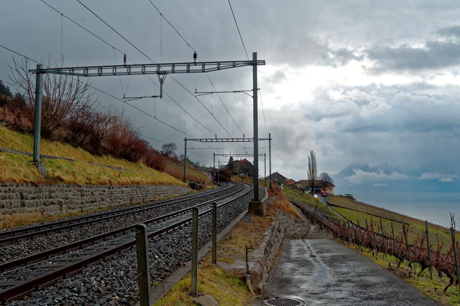 Nikon D50 sample photo. Switzerland, vaud, lavaux photography