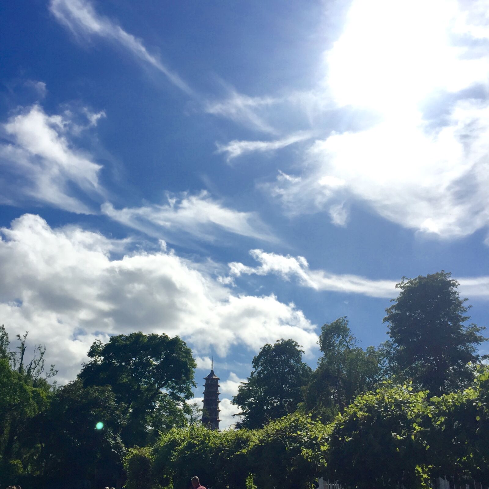 Apple iPhone 6 sample photo
