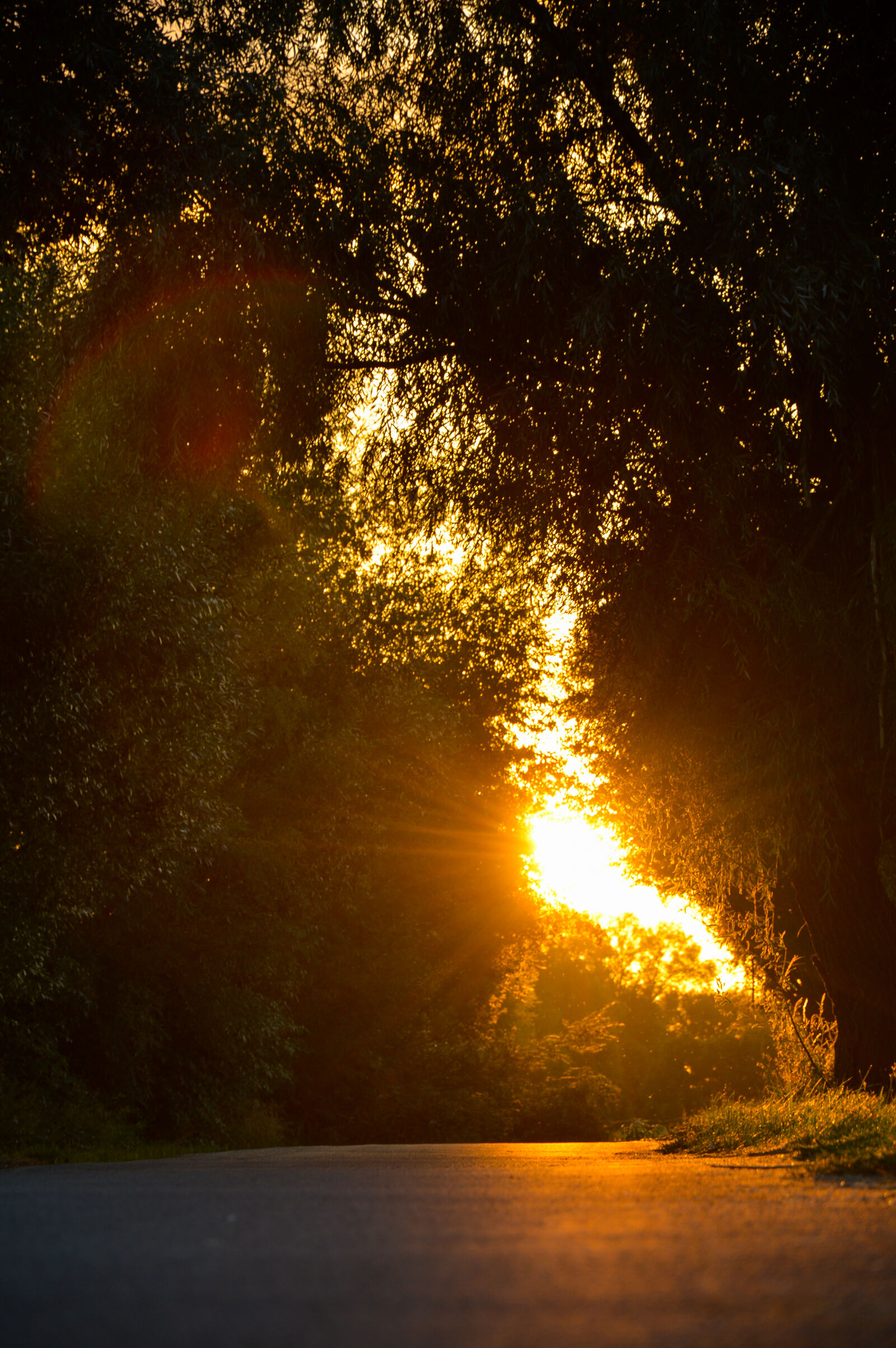 Nikon D3200 sample photo