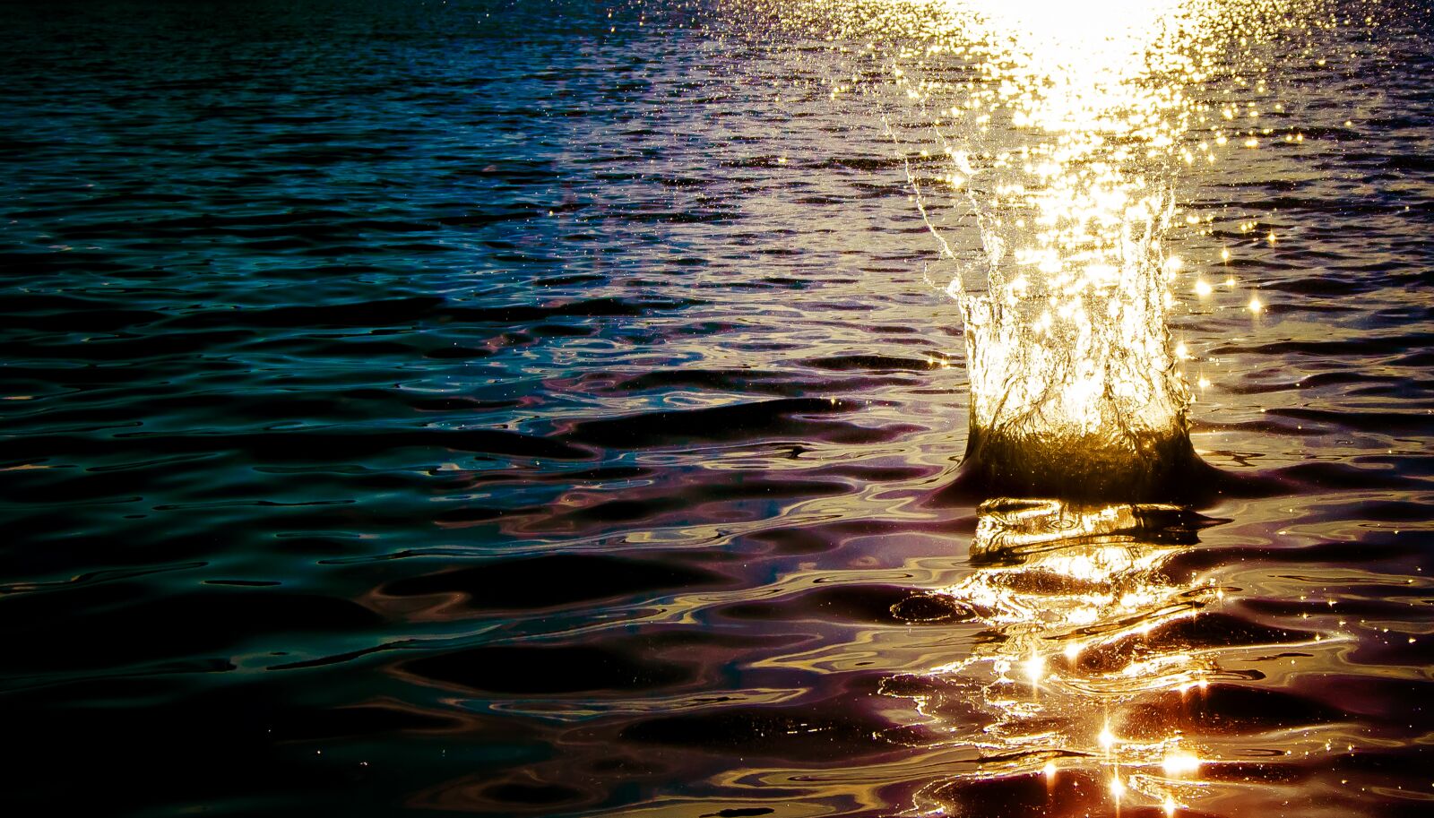 Nikon D7000 sample photo. Water, colorful, purple photography