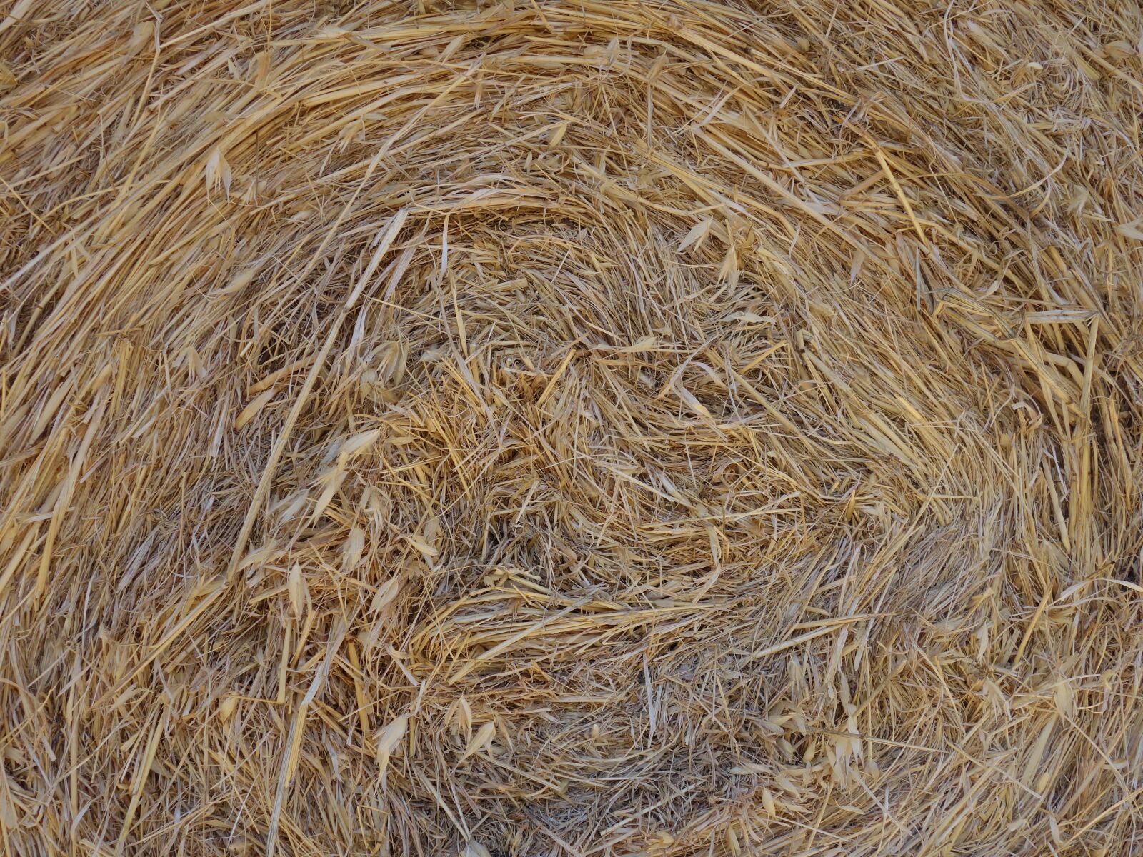 Sony Cyber-shot DSC-RX100 II sample photo. Straw, straw bales, dry photography