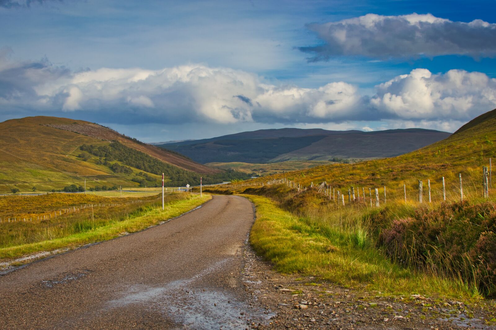 Nikon D5300 sample photo. Scotland, country road, nature photography