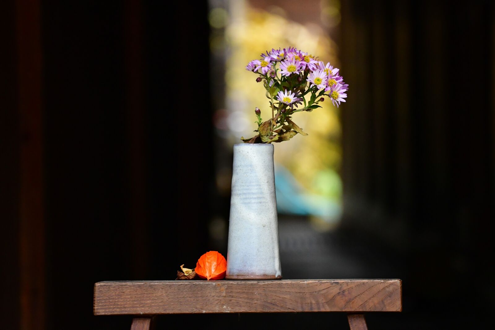 Nikon D500 sample photo. Furukawa, flowers, soon winter photography
