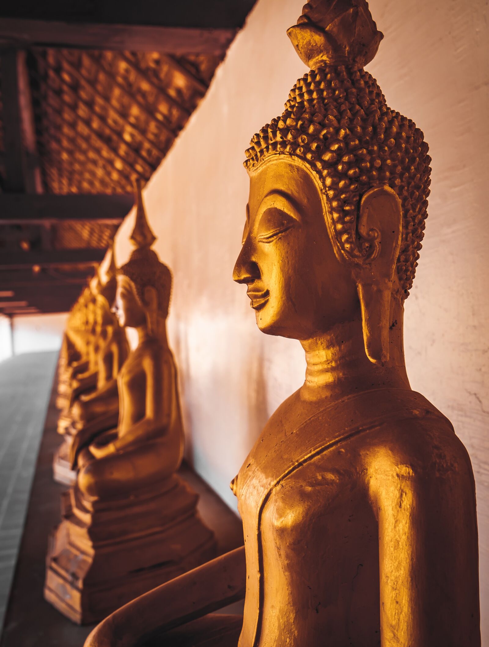 Sony a7 II + Sony Vario Tessar T* FE 24-70mm F4 ZA OSS sample photo. Laos, temple, city photography