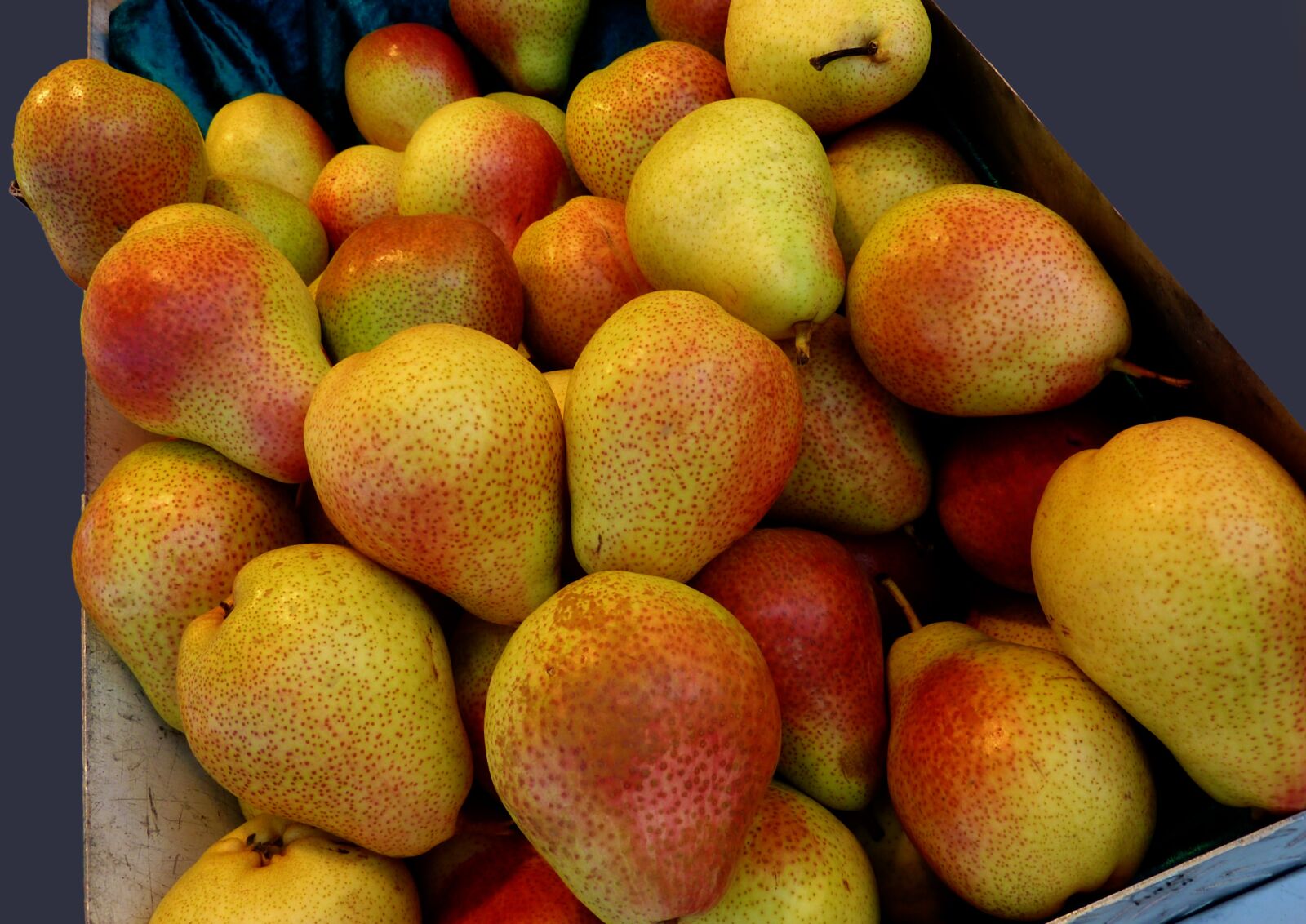 Panasonic DMC-TZ7 sample photo. Pears, fruit, vitamins photography