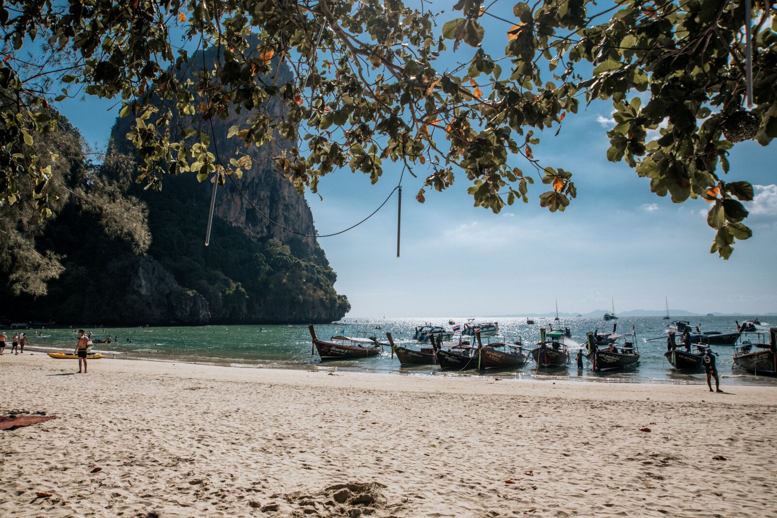 Nikon D750 sample photo