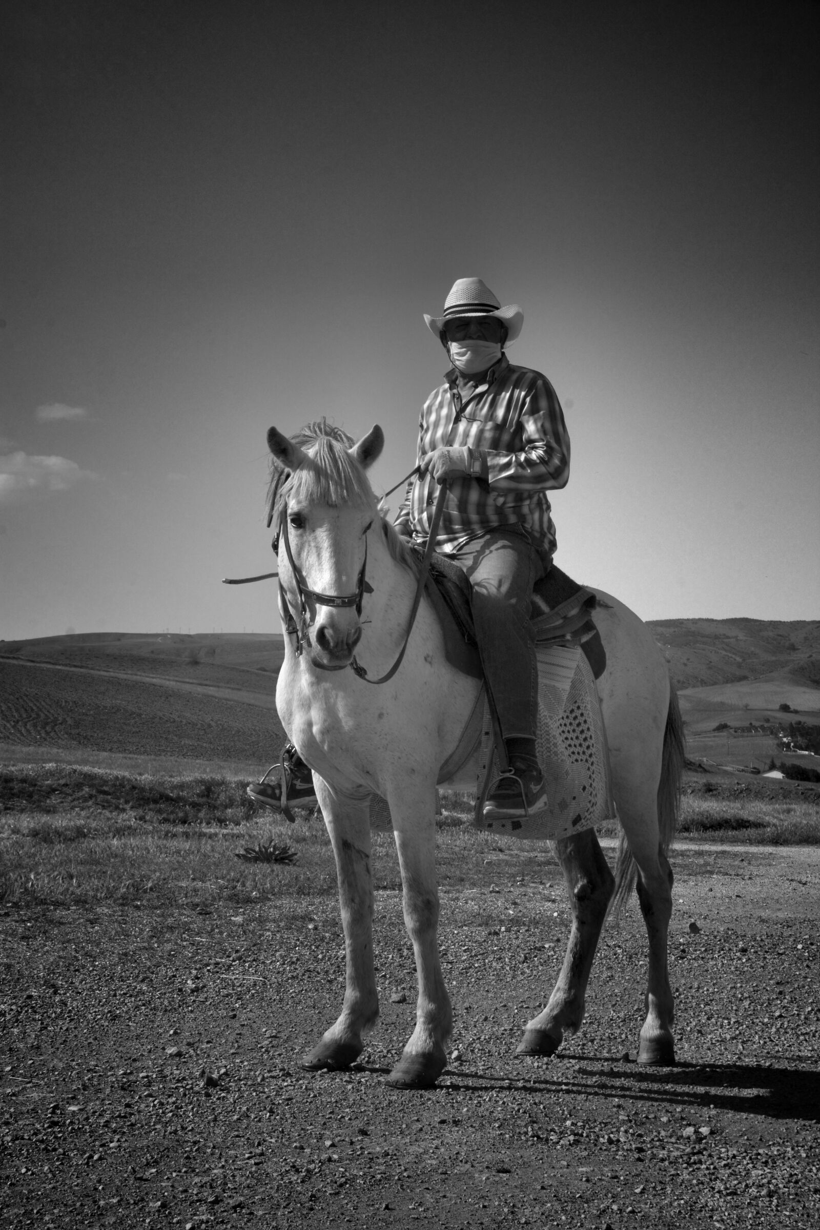 Nikon D7100 sample photo. Horse, black and white photography