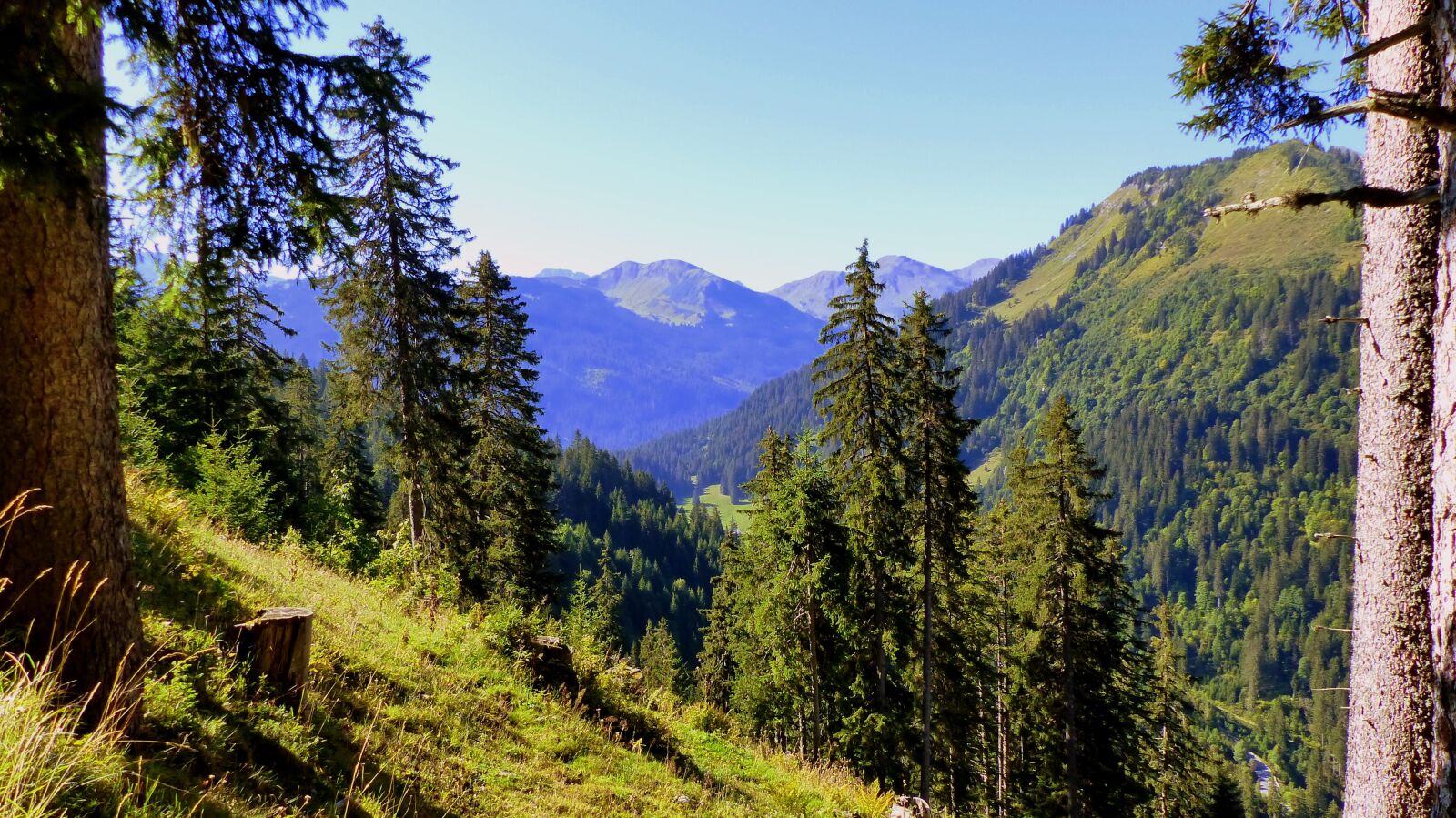Panasonic Lumix DMC-FZ200 sample photo. Nature, landscape, alpine photography