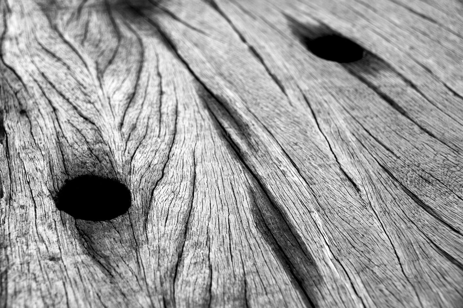 Nikon D7100 sample photo. Closeup, black and white photography