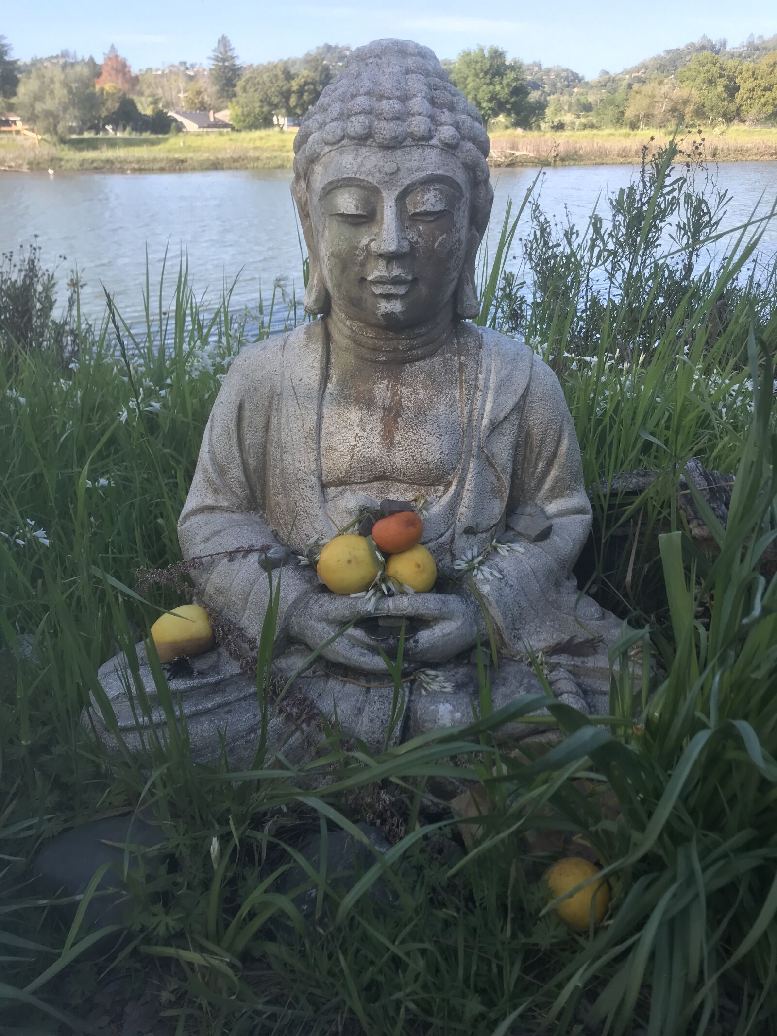 iPhone 7 back camera 3.99mm f/1.8 sample photo. Buddha, landscape, peace photography