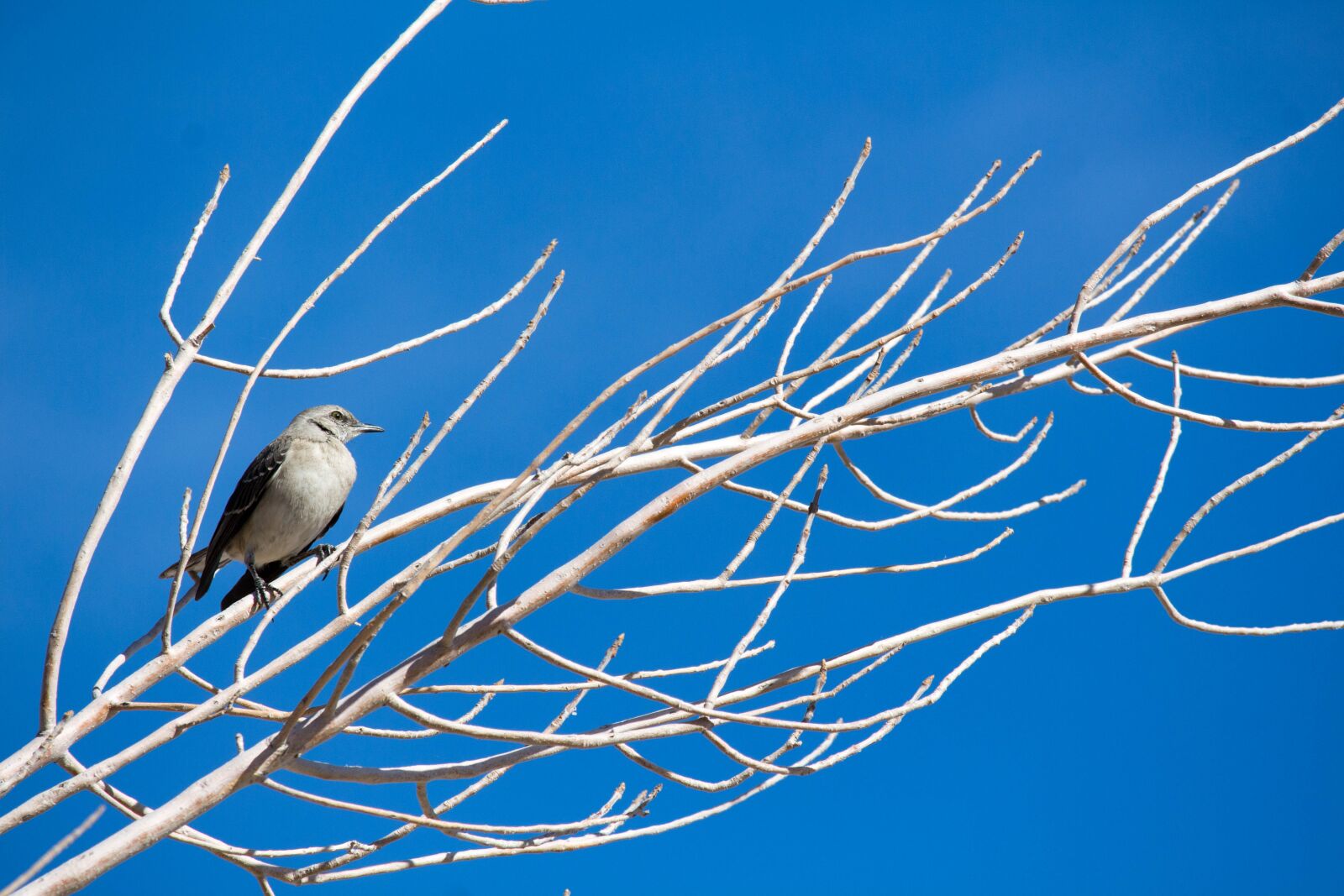 Canon EOS 700D (EOS Rebel T5i / EOS Kiss X7i) sample photo. Nature, sky, outdoors photography