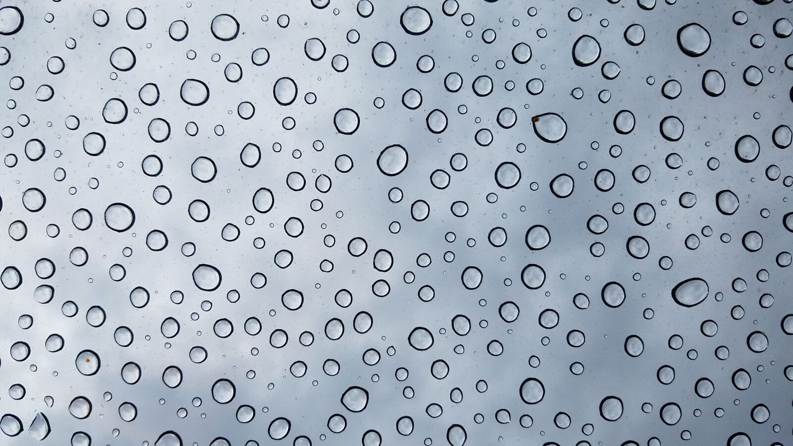 Samsung Galaxy S7 sample photo. Water, rain, wet photography