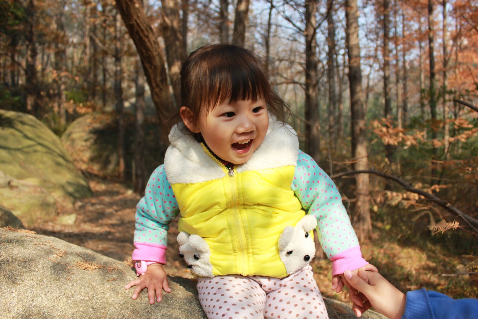 Canon EOS 550D (EOS Rebel T2i / EOS Kiss X4) sample photo. Laugh, autumn, park photography