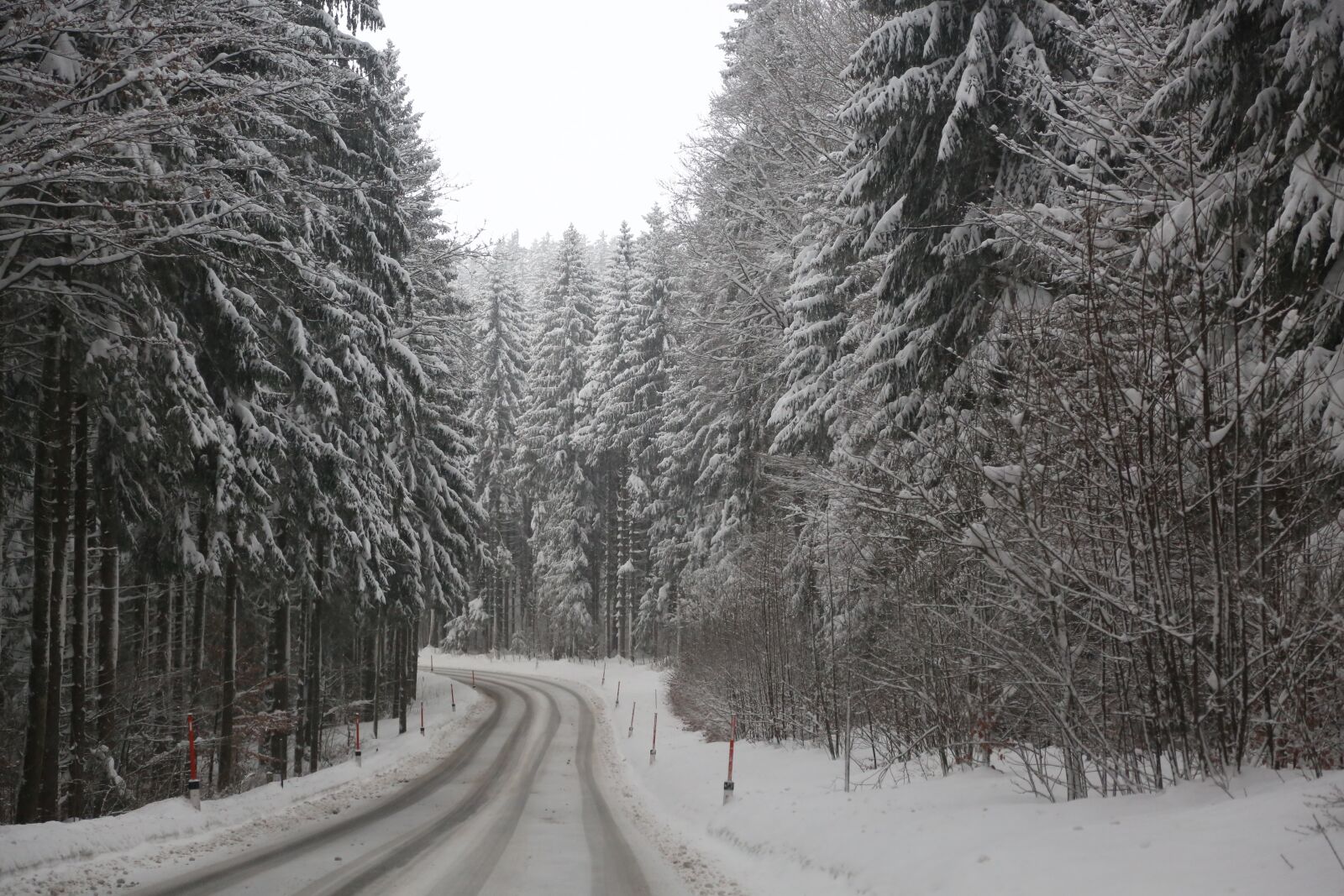 Canon EF 24-105mm F4L IS USM sample photo. Road, winter, forest photography