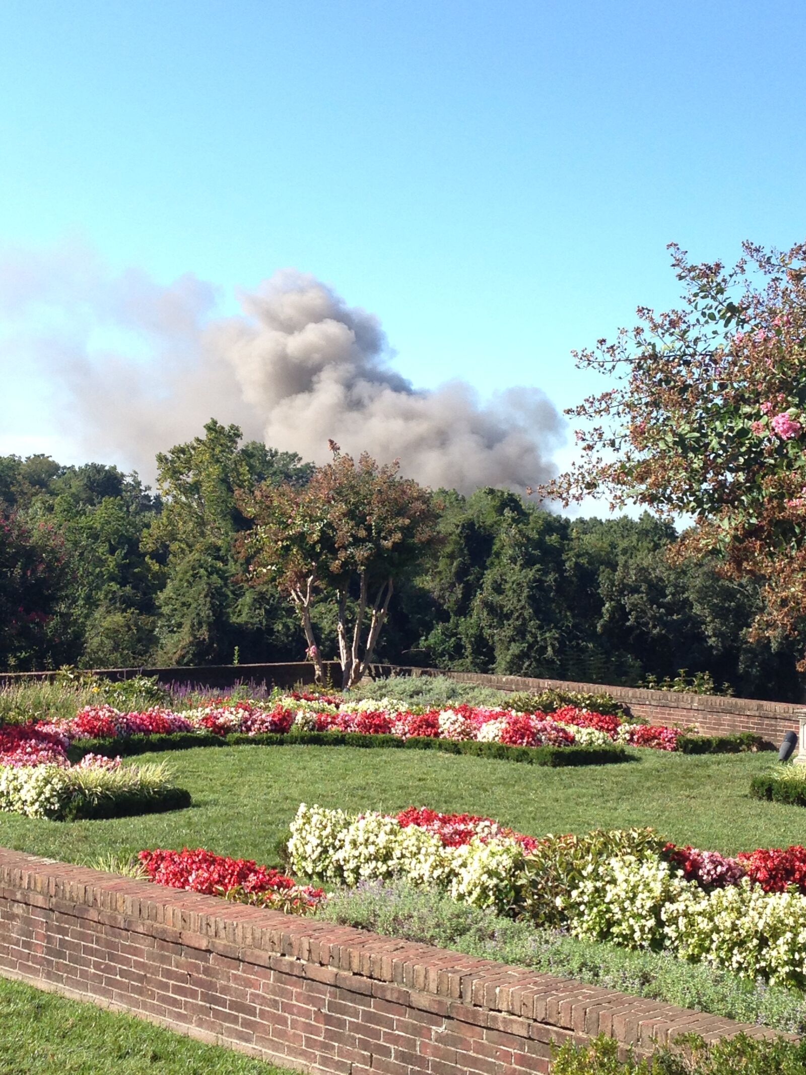 Apple iPhone 5 sample photo. Smoke, landscape, garden photography