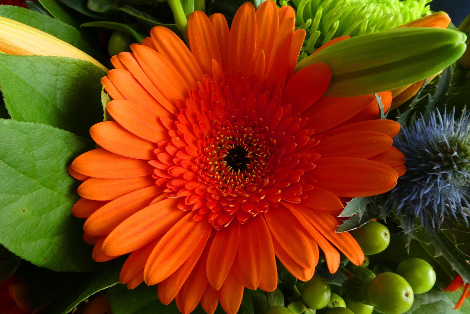 Panasonic Lumix DC-ZS70 (Lumix DC-TZ90) sample photo. Gerbera, flowers, bouquet photography