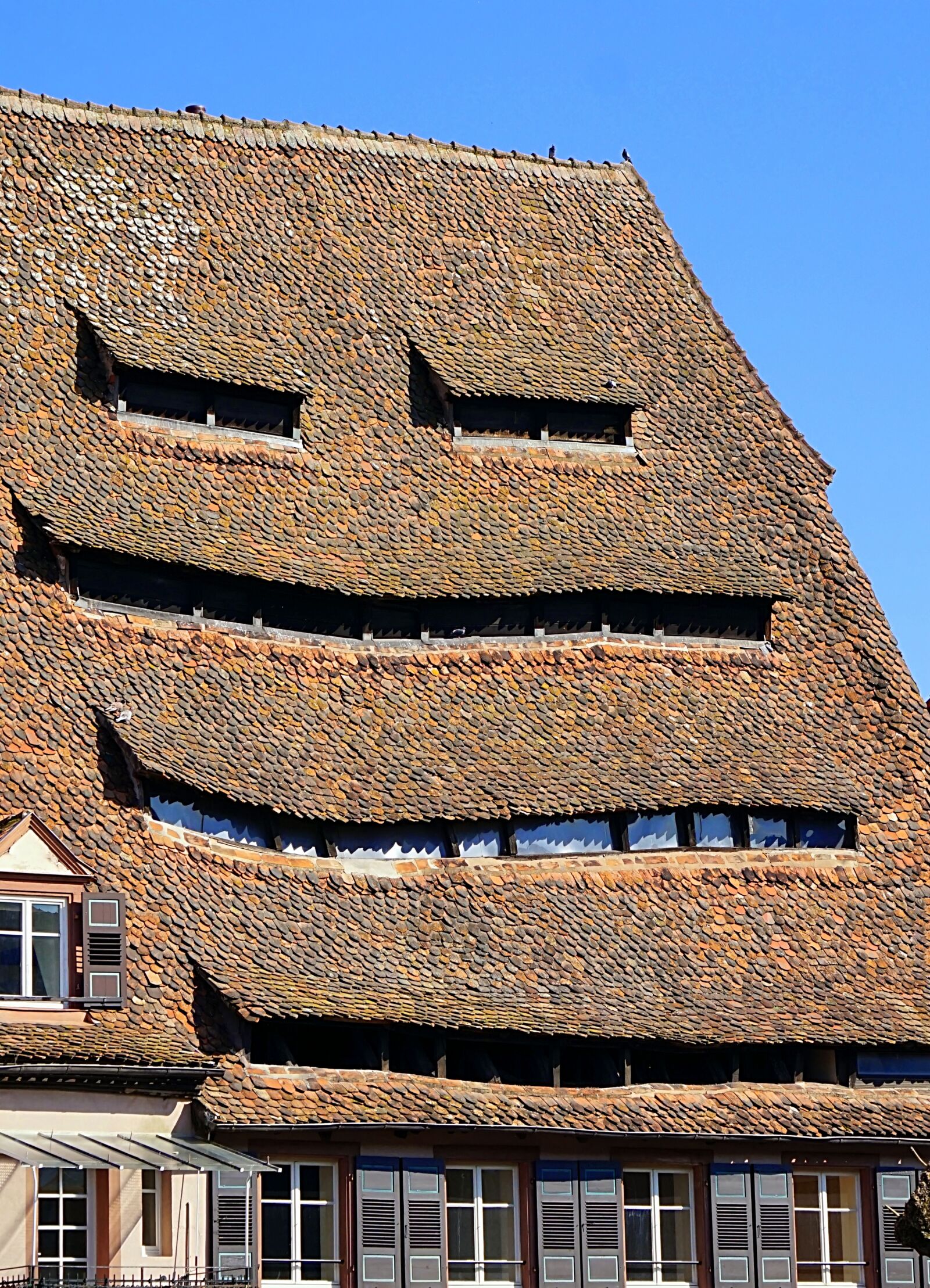 Sony Alpha a5000 (ILCE 5000) + Sony E 55-210mm F4.5-6.3 OSS sample photo. Roof, old, historically photography