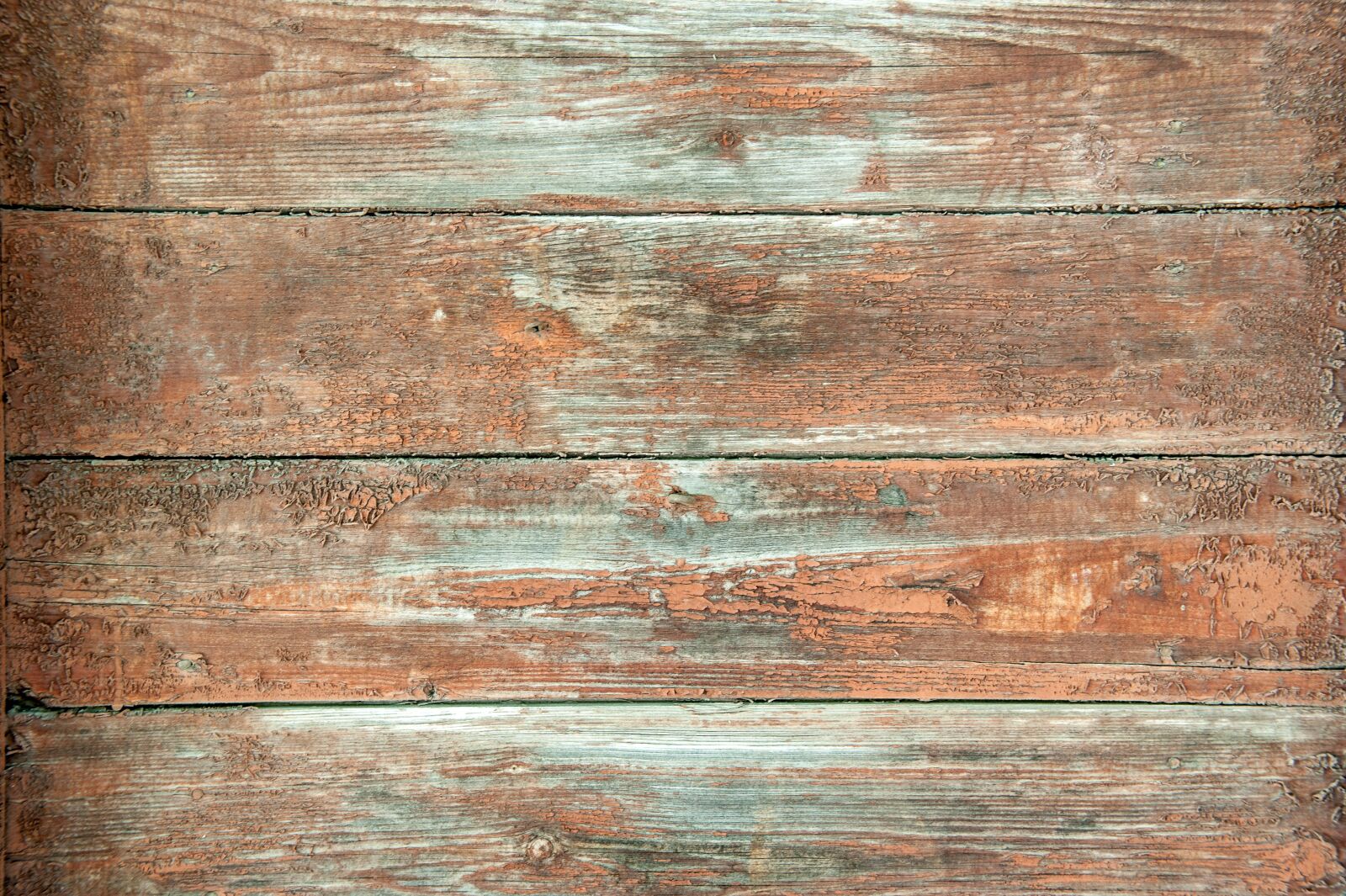 Nikon D700 sample photo. Old tree, orange, boards photography