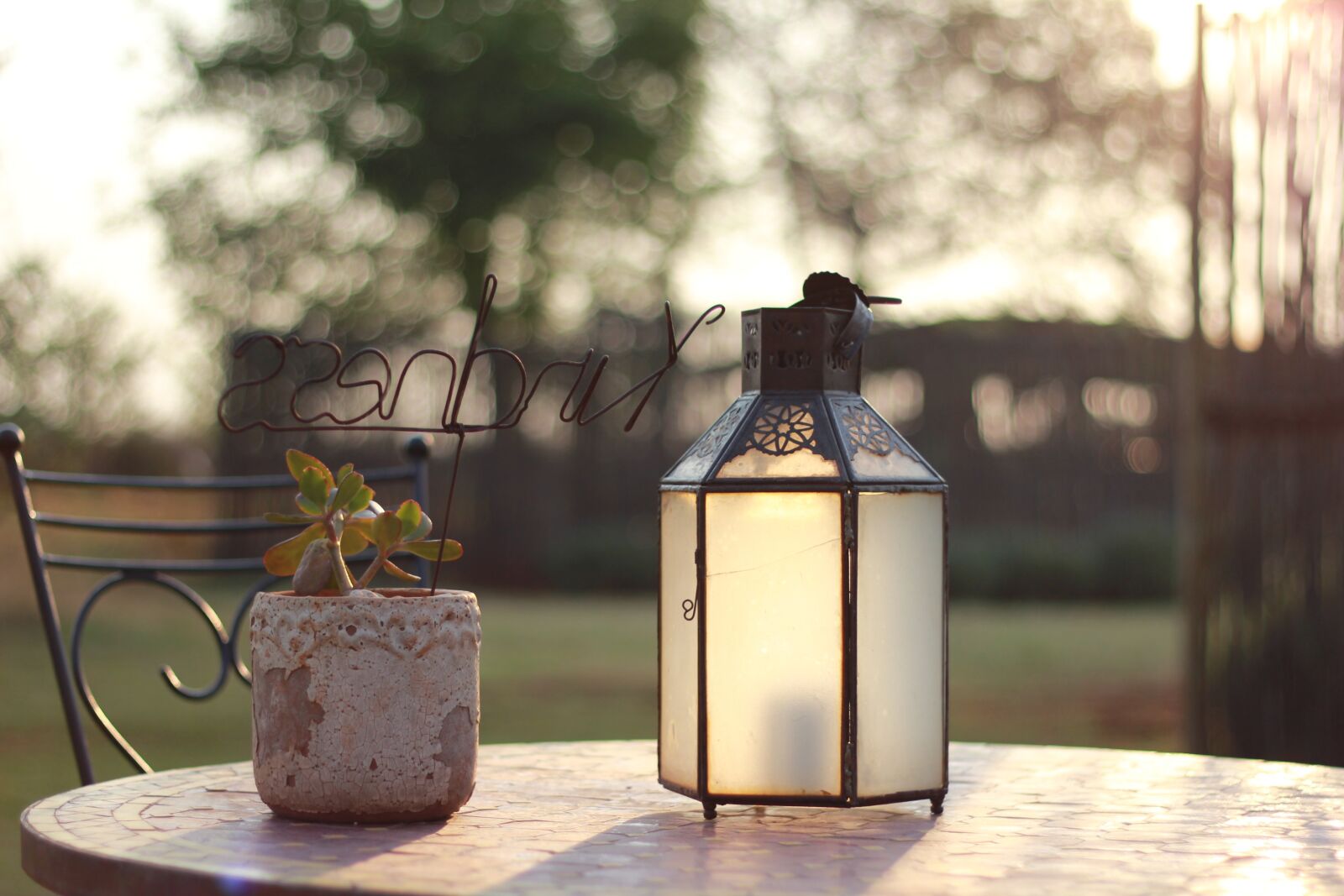 Canon EOS 550D (EOS Rebel T2i / EOS Kiss X4) sample photo. Decoration, kindness, text photography