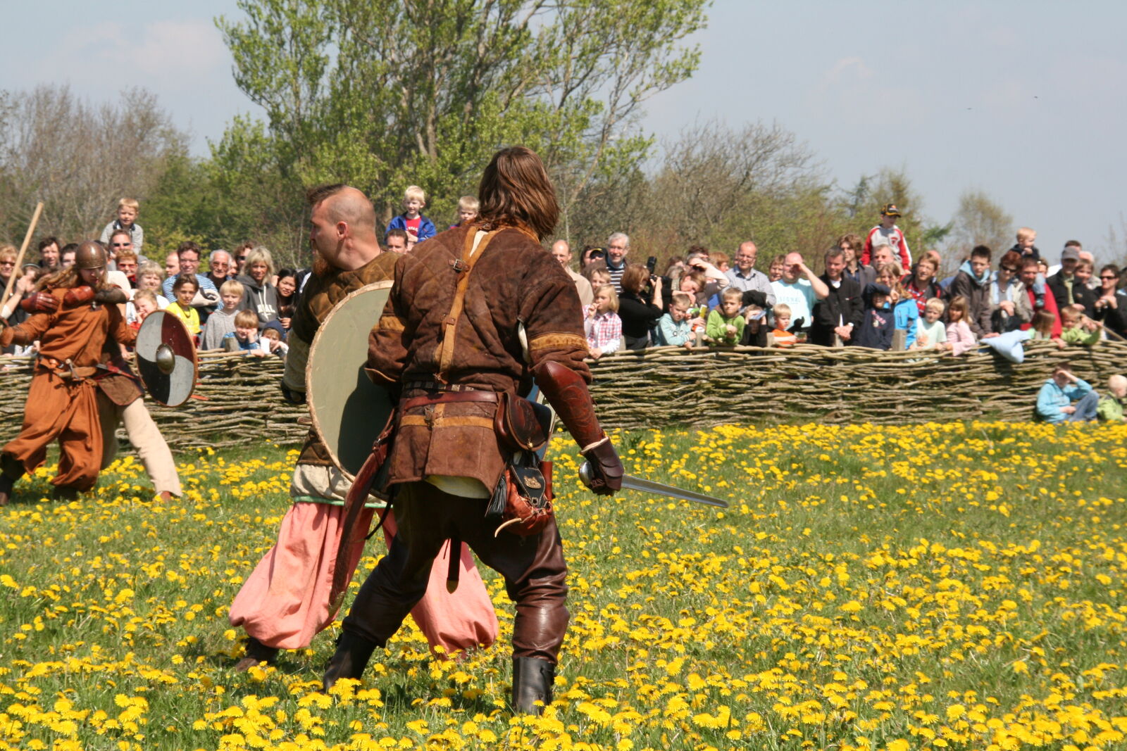 Sigma 18-200mm f/3.5-6.3 DC OS sample photo. Vikings photography