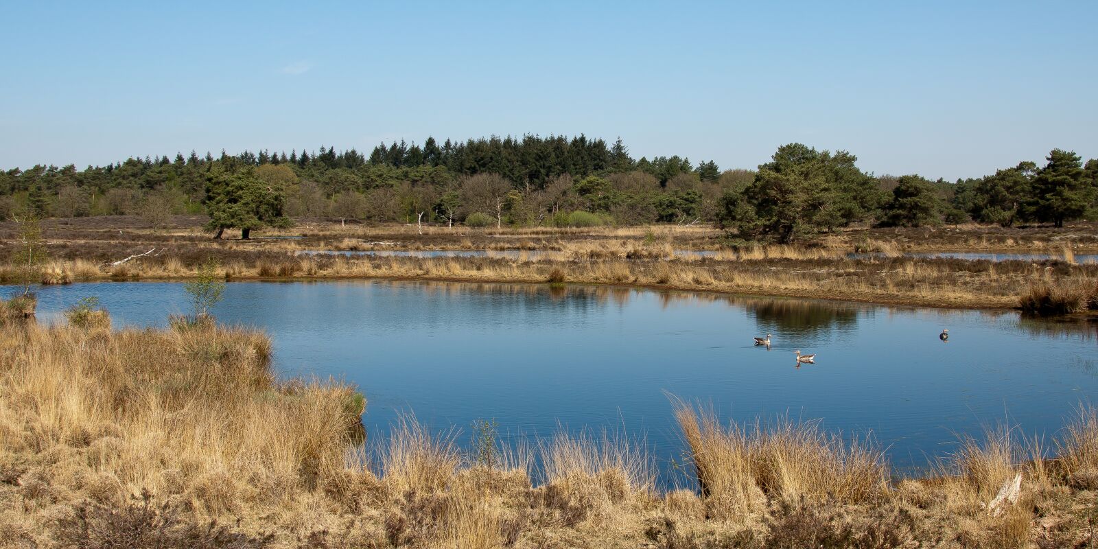 Canon EOS 50D + Canon EF 24-105mm F4L IS USM sample photo. Landscape, niederrhein, holland photography