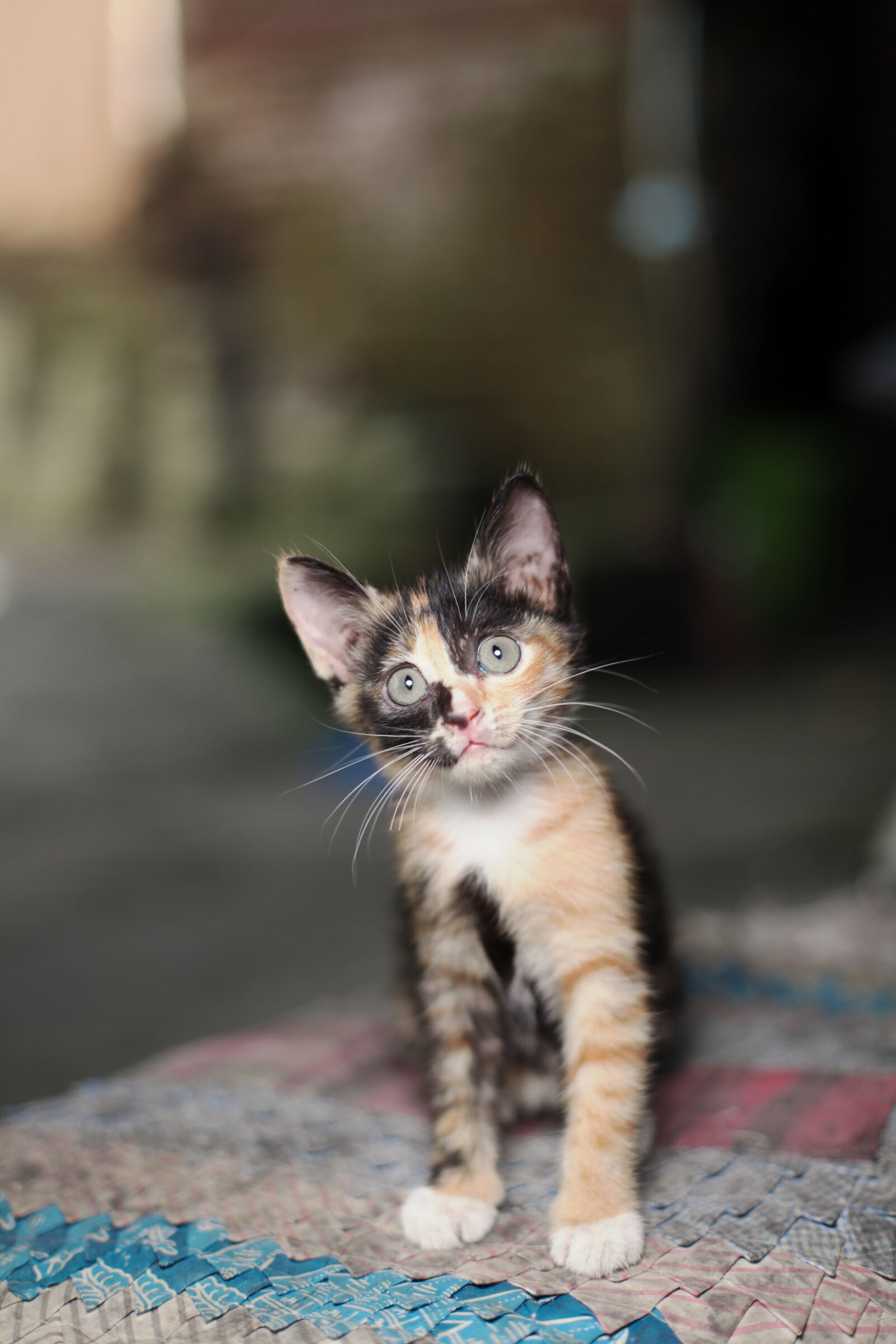Canon EOS 5D Mark II sample photo