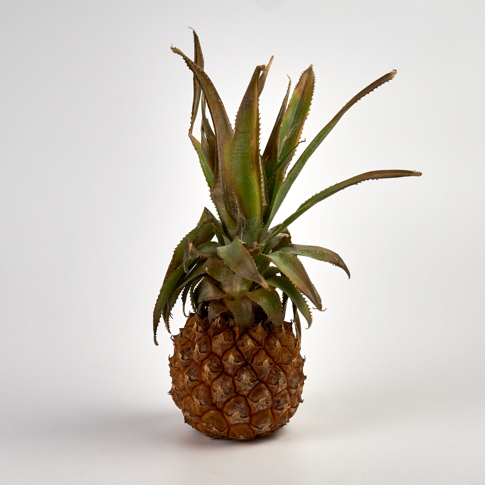 Sony a6000 sample photo. Agriculture, alimentation, ananas, bio photography