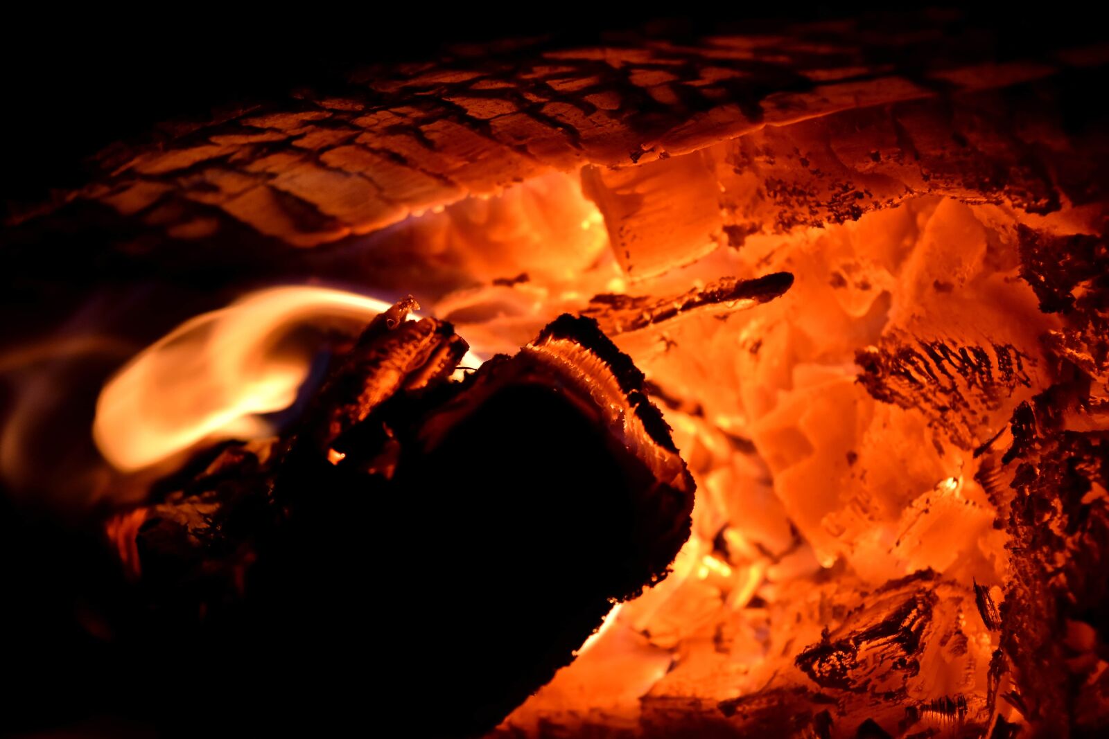 Nikon D5500 sample photo. Dark, flame, night, warm photography