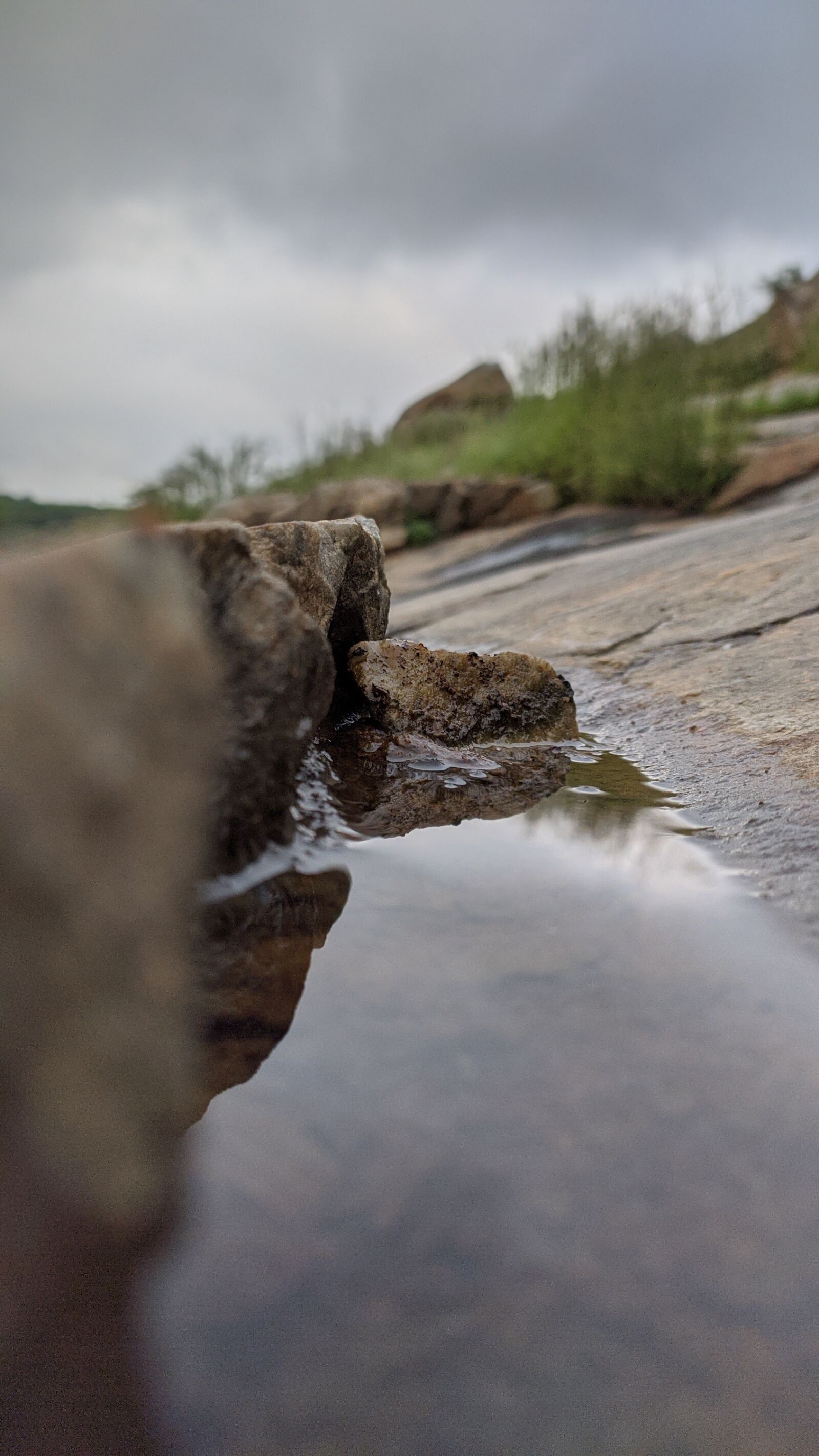 Xiaomi Redmi Note 8 sample photo. Water, reflection, focus photography