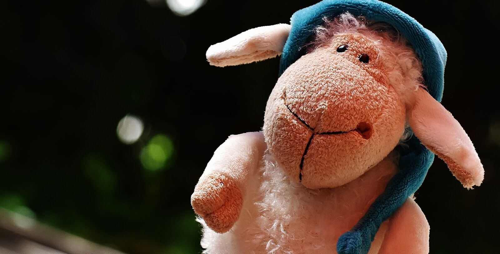 Nikon D7200 sample photo. Sheep, sleepyhead, plush photography