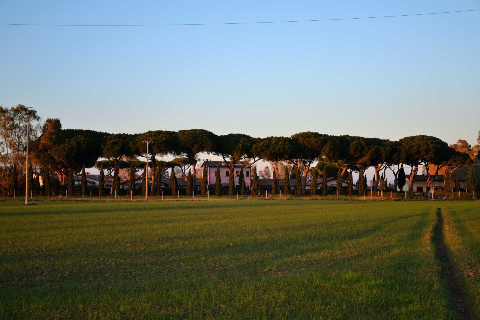 Nikon D3100 sample photo. Toscana, campagna, italia photography